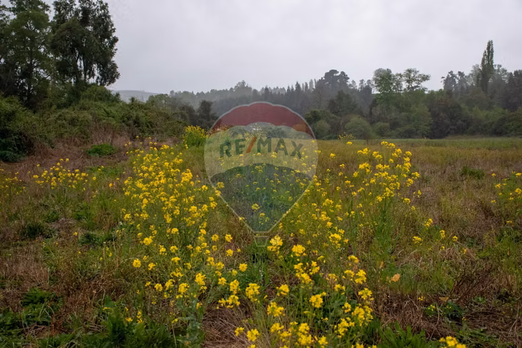 Proyecto de parcelas centinela 2 la union