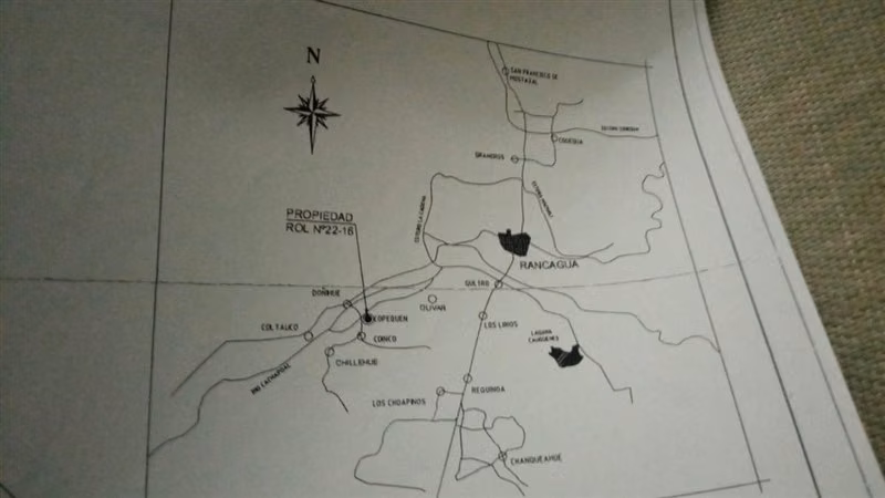 Venta Lote 10.000 mts Copequén, Coinco
