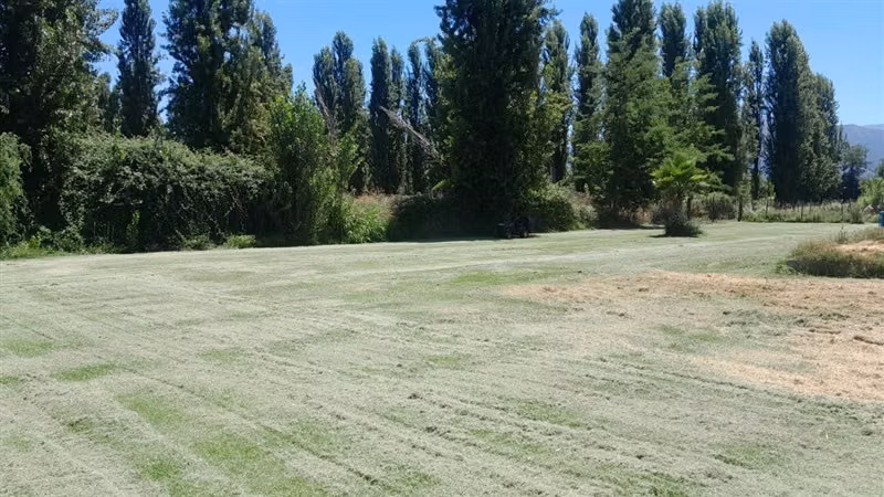 Venta Sitio 10.000 mts Copequén, Coinco