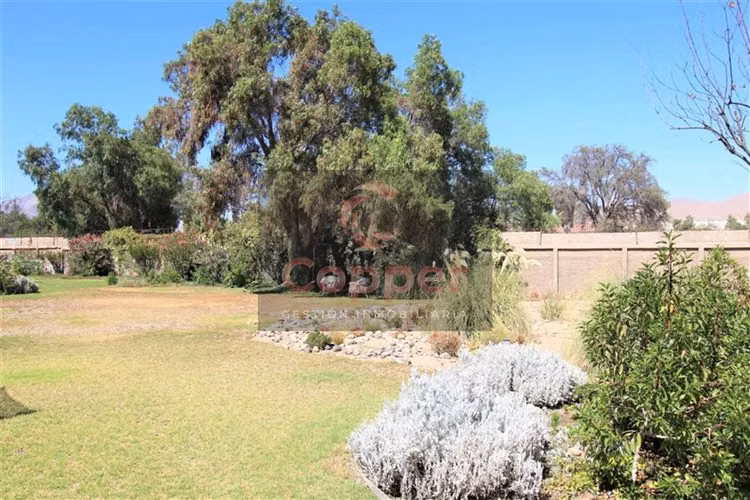 Casa en arriendo, sector oriente, Copiapó