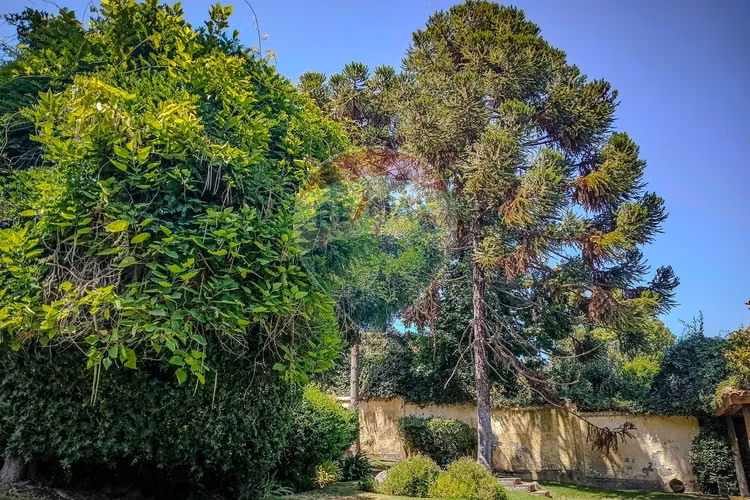 Magnificent house with unparalleled views - santiago - Imagen 2