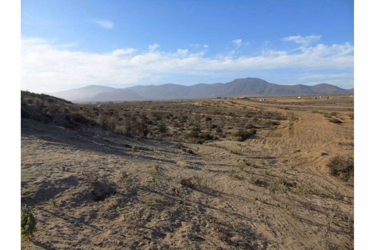Se vende sitio en Morrillos 2da fila desde 6500 UF