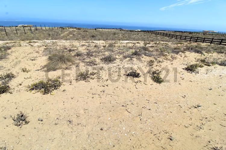 Se vende sitio en Morrillos 2da fila desde 6500 UF