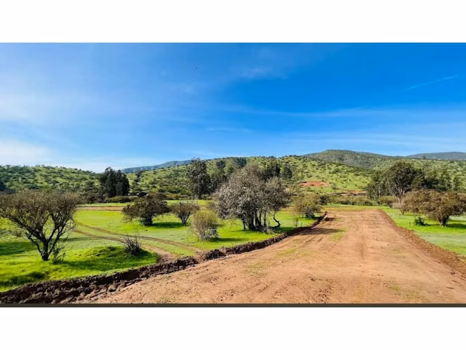 Vende parcelas de 5.000 mt2, con rol propio, en Melipilla, Proyecto Alta Vista, sector Maitenes - Mandinga