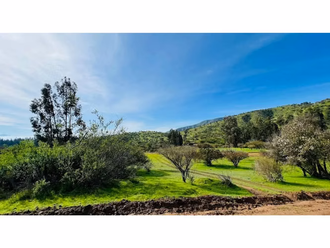 Vende parcelas de 5.000 mt2, con rol propio, en Melipilla, Proyecto Alta Vista, sector Maitenes - Mandinga