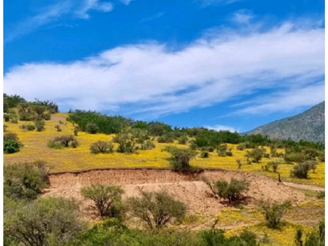 Vende parcelas de 5.000 mt2, con rol propio, en Melipilla, Proyecto Alta Vista, sector Maitenes - Mandinga