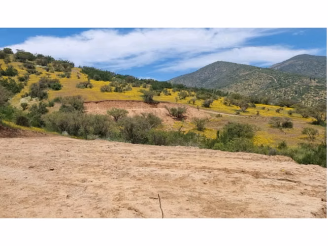 Vende parcelas de 5.000 mt2, con rol propio, en Melipilla, Proyecto Alta Vista, sector Maitenes - Mandinga