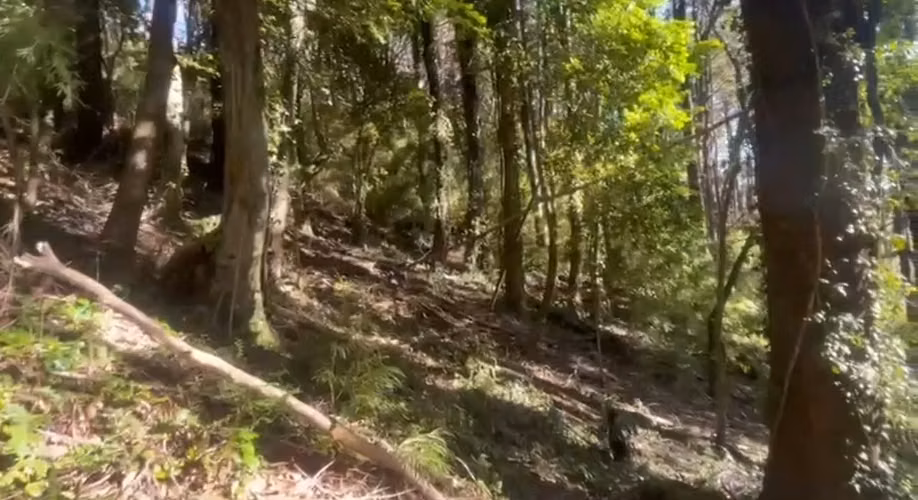 Vende parcelas en proyecto Reserva Cautín, cerca de Curacautín. Desde 5.000 mt2. Agua, luz soterrada, crédito. - Imagen 2