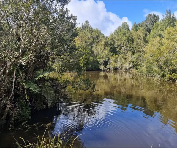 Vende parcelas con rol propio, desde 5.000 mt2, en proyecto Fundo Río Los Ostiones, Los Muermos.  Opción de Crédito directo.