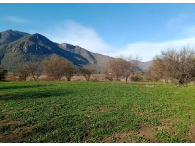 Vende parcelas planas de 5.000 mt2 en Lampa, rol propio, sector camino Chicauma con cruce El Taco - Imagen 7