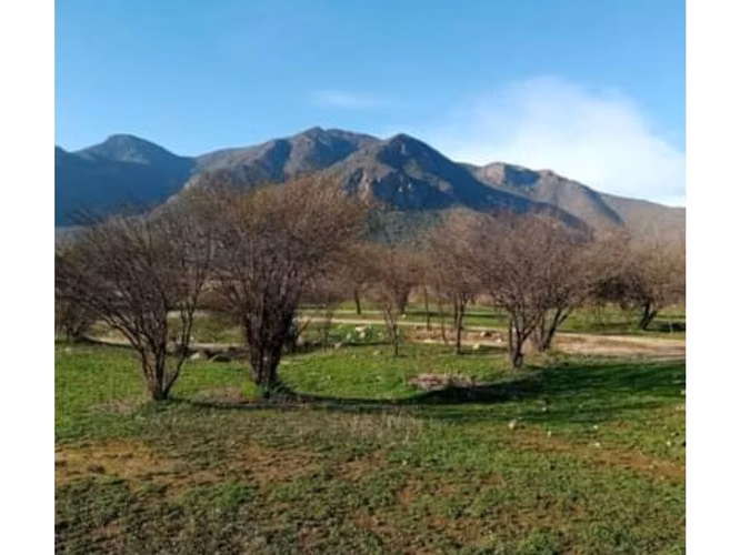 Vende parcelas planas de 5.000 mt2 en Lampa, rol propio, sector camino Chicauma con cruce El Taco - Imagen 5
