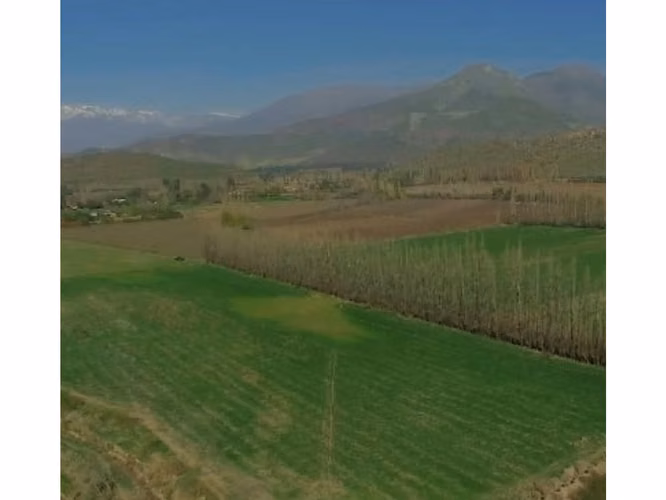 Vende parcelas de 5.000 mt2, rol propio, en Rinconada de Los Andes. Parcelación San Guillermo. Crédito Directo.