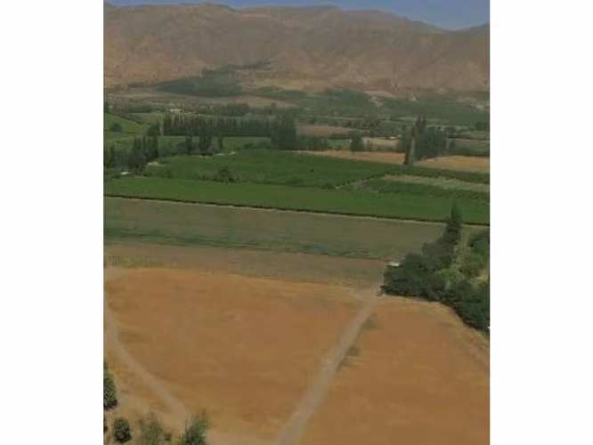 Vende parcelas de 5.000 mt2, rol propio, en Rinconada de Los Andes. Parcelación San Guillermo. Crédito Directo.
