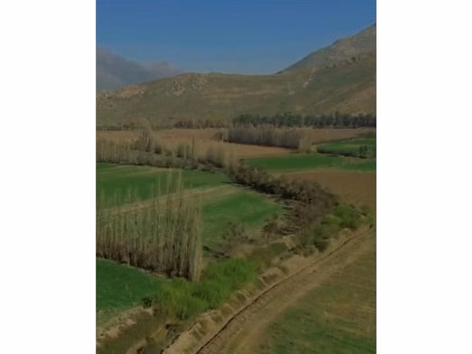 Vende parcelas de 5.000 mt2, rol propio, en Rinconada de Los Andes. Parcelación San Guillermo. Crédito Directo.