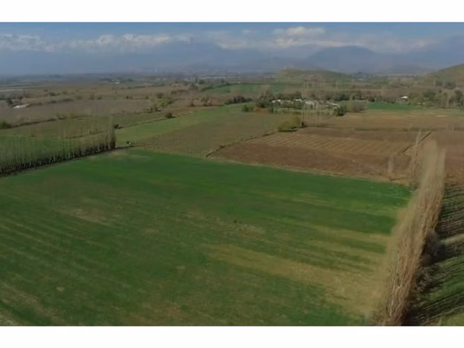 Vende parcelas de 5.000 mt2, rol propio, en Rinconada de Los Andes. Parcelación San Guillermo. Crédito Directo.