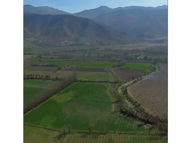 Vende parcelas de 5.000 mt2, rol propio, en Rinconada de Los Andes. Parcelación San Guillermo. Crédito Directo.