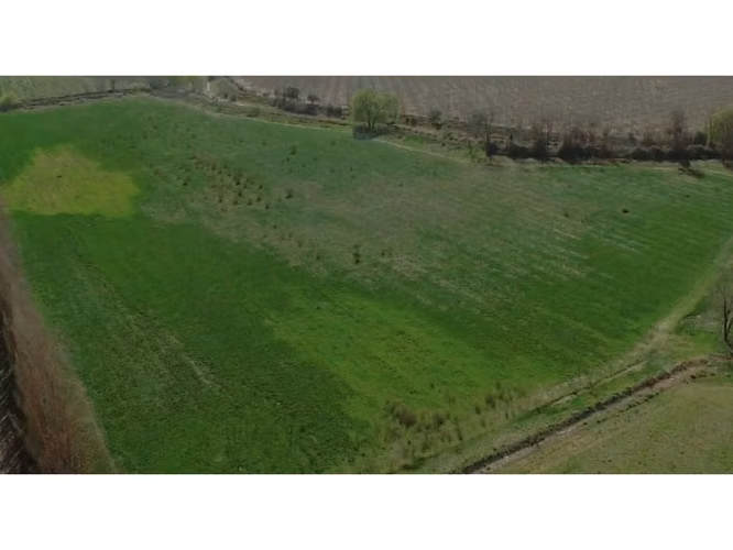 Vende parcelas de 5.000 mt2, rol propio, en Rinconada de Los Andes. Parcelación San Guillermo. Crédito Directo.