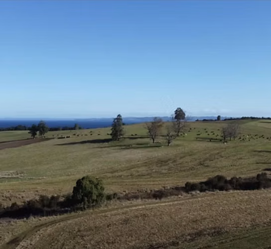 Vende parcelas en proyecto Fundo La Punta de Puerto Octay. Unidades desde 5.000 mt2 con rol