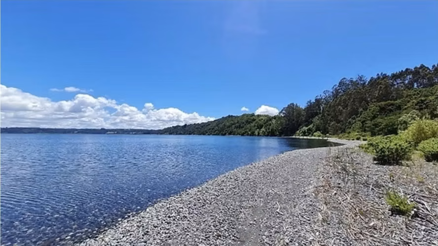 Vende parcelas en proyecto Fundo La Punta de Puerto Octay. Unidades desde 5.000 mt2 con rol