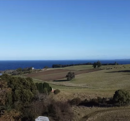 Vende parcelas en proyecto Fundo La Punta de Puerto Octay. Unidades desde 5.000 mt2 con rol