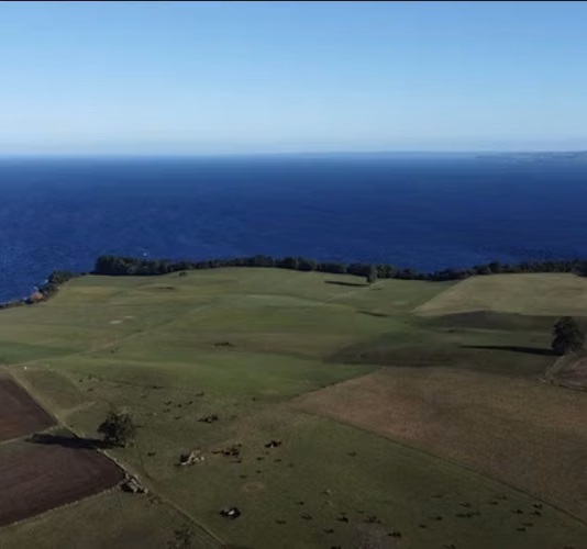 Vende parcelas en proyecto Fundo La Punta de Puerto Octay. Unidades desde 5.000 mt2 con rol