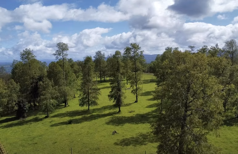 Vende parcelas en proyecto Fundo Mirador, ubicado en Futrono, cercano a Bahía Colqui.