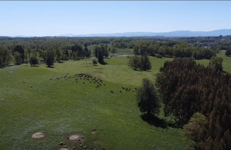 Vende parcelas en Proyecto Valle del Ranco, desde 5.000 mt2 con rol propio, Ubicado en Paillaco, Lago Ranco.