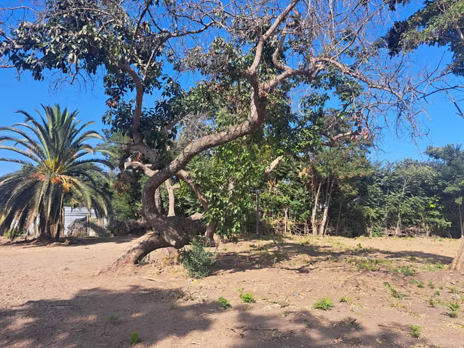 Venta de Parcela en el Olivo, La Calera (152723)