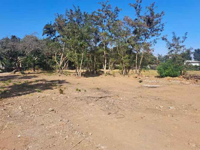 Venta de Parcela en el Olivo, La Calera (152723)