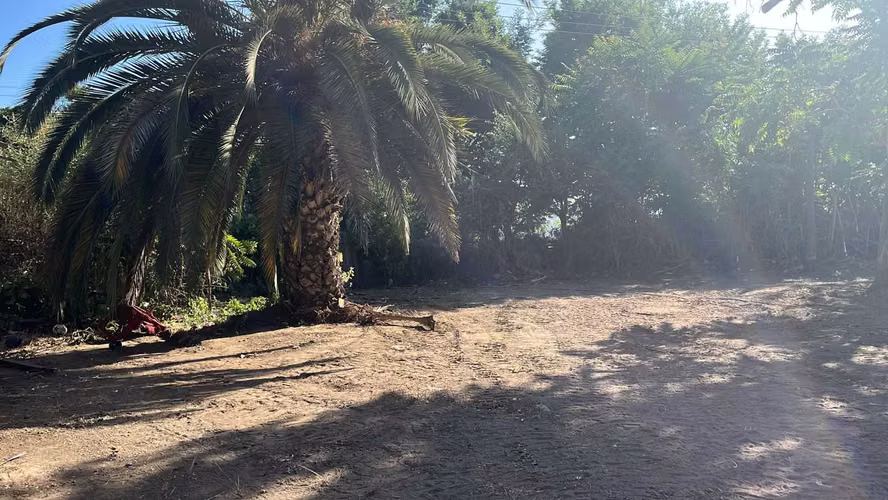 Venta de Parcela en el Olivo, La Calera (152723)