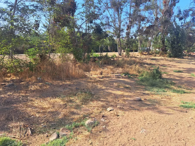 Venta de Parcela en el Olivo, La Calera (152723)