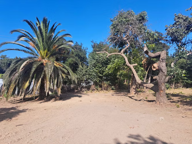 Venta de Parcela en el Olivo, La Calera (152723)