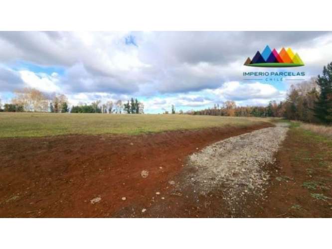 Preciosas parcelas / ruta Freire - Villarrica