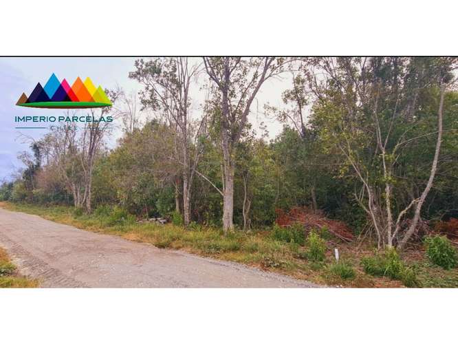Hermosa parcela / 13 km de Villarrica