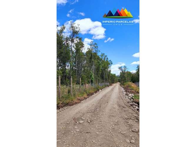 Hermosa parcela / 13 km de Villarrica