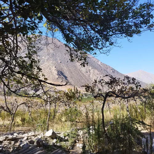Terreno en el Valle de Elqui