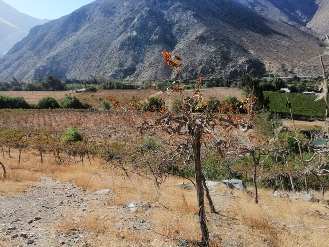 Terreno en el Valle de Elqui