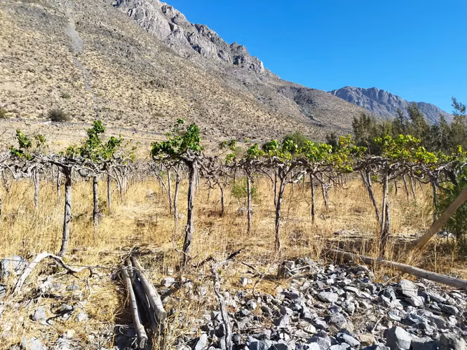 Terreno en el Valle de Elqui