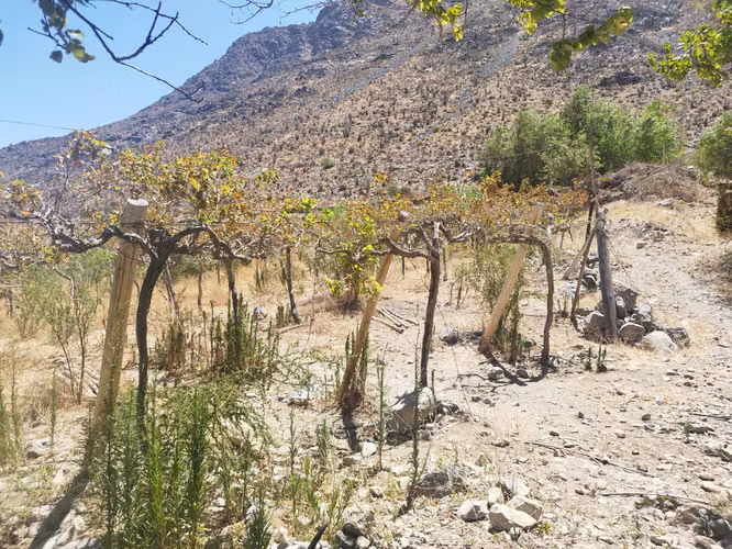 Terreno en el Valle de Elqui