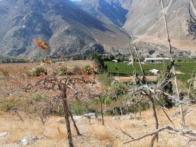 Terreno en el Valle de Elqui