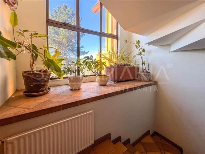 Local Comercial en arriendo en Concepción