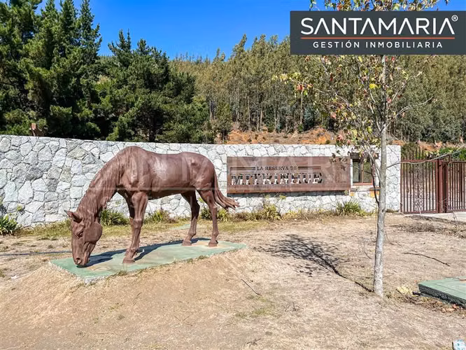 Terreno en venta Camino a Santa Juana, San Pedro de la Paz