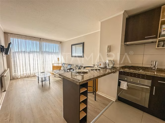 Dpto. en Arriendo 1 dorm en Orompello, Concepción