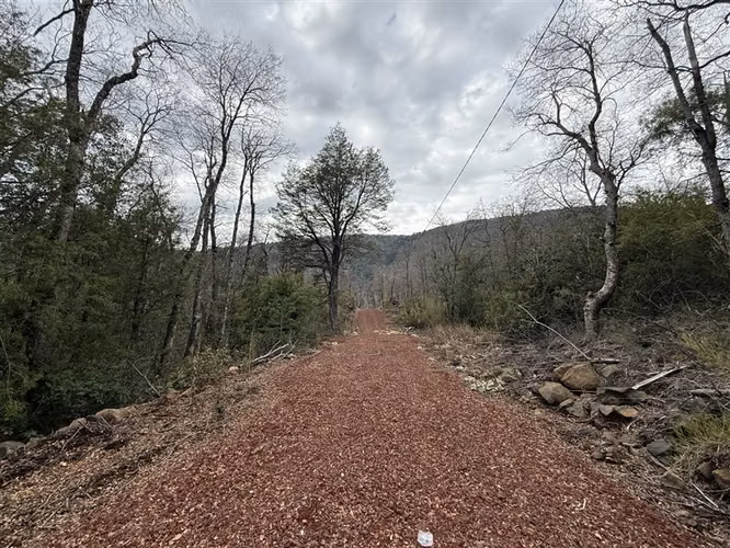 Parcela en venta en Pinto, camino a Las Trancas