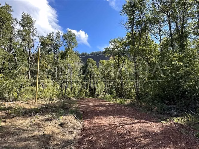 Parcela en venta en Pinto, camino a Las Trancas