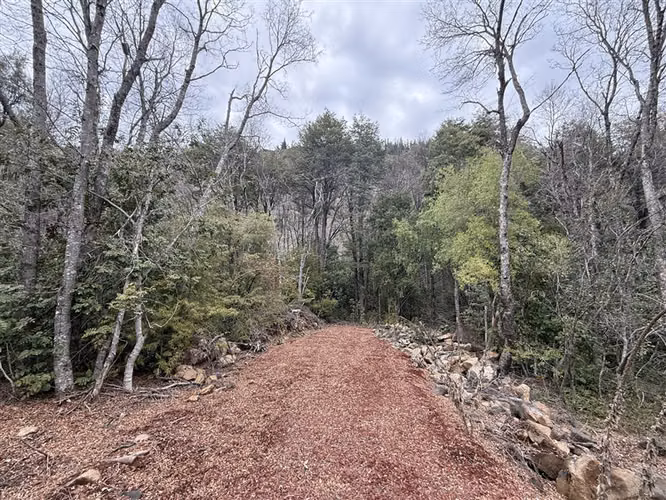 Parcela en venta en Pinto, camino a Las Trancas