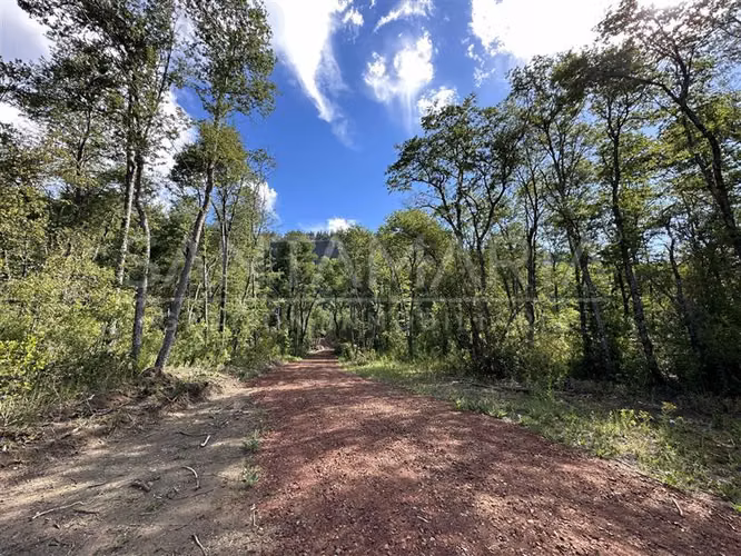 Parcela en venta en Pinto, camino a Las Trancas