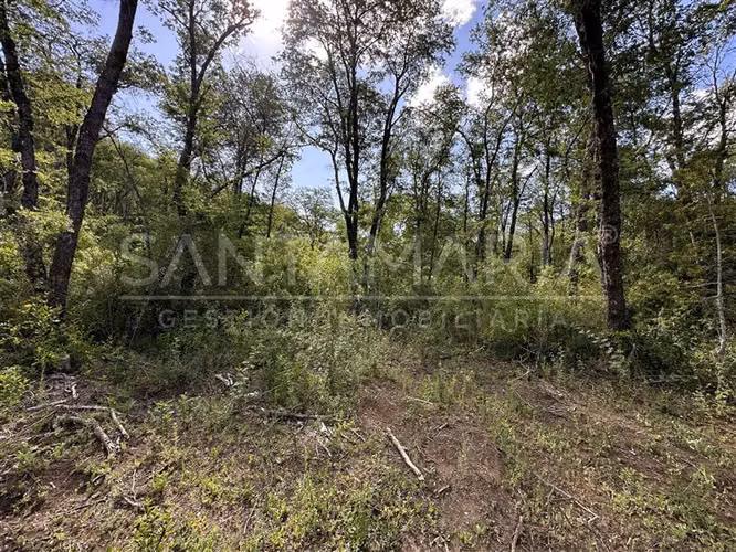 Parcela en venta en Pinto, camino a Las Trancas