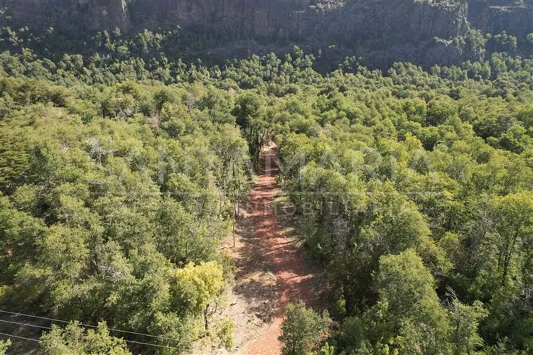 Terreno en venta en Pinto, camino a Las Trancas