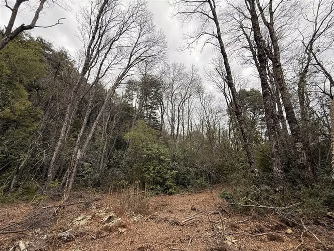 Terreno en venta en Pinto, camino a Las Trancas